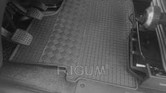 Rigum Gumijaste preproge Iveco DNEVNO 2/3m 2014-