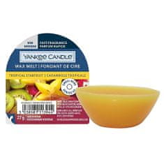 Yankee Candle WAX YC NOV TRAPIČNI STARFRIT VOŠKA YC 1630634E, WAX YC NOV TRAPIČNI STARFRIT VOŠKA YC 1630634E