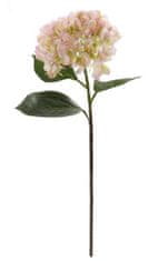 Shishi Hortenzija rumeno-roza 70 cm