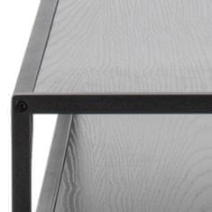 Design Scandinavia Konzolna mizica Seaford, 120 cm, MDF, črna