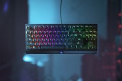 Razer BlackWidow V3 Tenkeyless tipkovnica, brez numeričnega dela, rumena mehanska stikala, US SLO g.