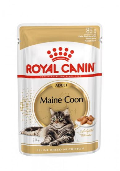 Royal Canin vrečka za mačke Maine Coon 12x85 g