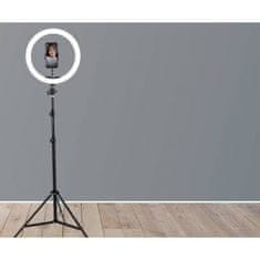 Xiaomi Vidlok komplet LED Ring svetlobni obroč s stojalom, 45 cm