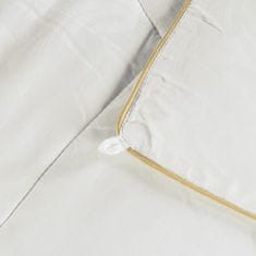 Vitapur Victoria's Silk celoletna odeja, svilena, 250x200 cm