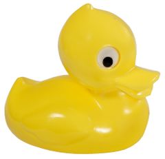 Směr Duck