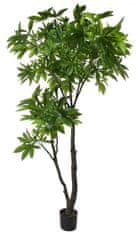 Shishi Umetno drevo pachira, višina 240 cm
