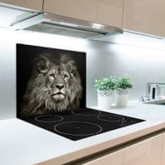 tulup.si Steklena podloga za rezanje Lion 2x30x52 cm