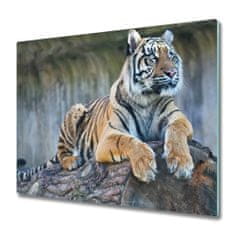 tulup.si Steklena podloga za rezanje Tiger 2x30x52 cm