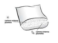 Daunen Step Trša blazina iz perja 30 x 40 cm v bombažni prevleki, trikomorna