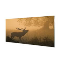 tulup.si Steklena slika Deer sunrise 100x50 cm 2 obešalnika