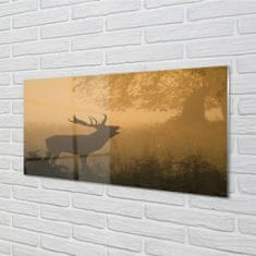 tulup.si Steklena slika Deer sunrise 100x50 cm 2 obešalnika