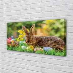 tulup.si Slika na platnu Rabbit jajca travnik 100x50 cm