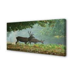 tulup.si Slika na platnu Deer jesenski gozd 120x60 cm