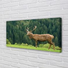 tulup.si Slika na platnu Deer na področju 100x50 cm