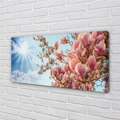 tulup.si Slika na platnu Magnolia nebo sonce 100x50 cm