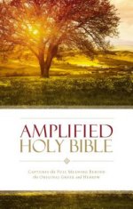 Amplified Holy Bible, Paperback