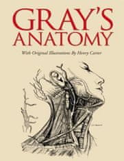 Grays Anatomy