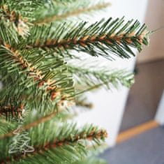 Božično drevo Kavkaska smreka 2D 120 cm