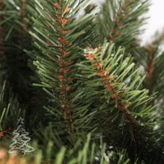 Božično drevo Kavkaska smreka 2D 120 cm