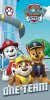 Brisača Paw Patrol PP201 70/140