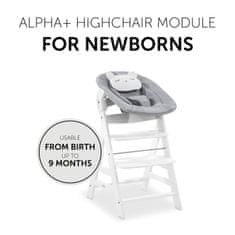 Hauck Alpha Bouncer 2in1 Pastel Bear Light Grey