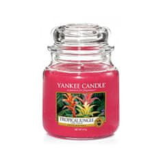 Yankee Candle Aromatična sveča srednje tropska džungla 411 g