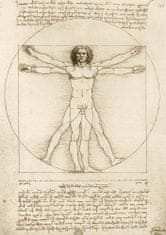 BlueBird print Leonardo Da Vinci 1490 - The Vitruvian Man puzzle 1000 kosov