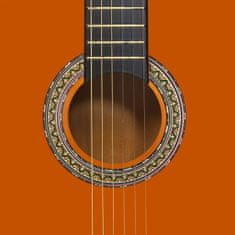 Vidaxl Klasična kitara za začetnike 12-delni komplet 4/4 39"