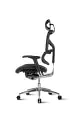 Ergovision Pisarniški stol Smart Deluxe, črna