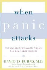 When Panic Attacks