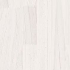 Vidaxl Knjižna omara 2-nadstropna bela 40x30x70 cm trdna borovina
