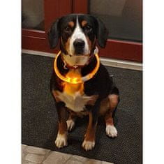 Svetleča svetleča ovratnica za pse rumena dolžina 35 cm