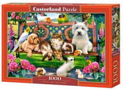 Castorland Puzzle Domače živali v parku 1000 kosov