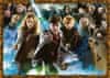 Puzzle Harry Potter: Magični študent Harry Potter 1000 kosov