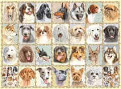 Ravensburger Puzzle Portreti psov 500 kosov