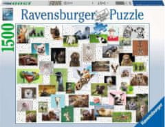 Ravensburger Puzzle Kolaž z živalskimi obrazi 1500 kosov