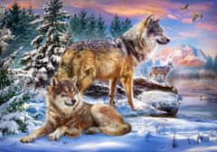 Castorland Puzzle Wolf Land 500 kosov