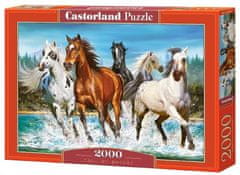 Castorland Puzzle Klic narave 2000 kosov