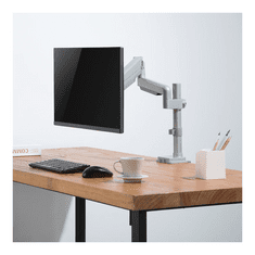 Ergo Office Nosilec za monitor ER-407G 17" do 32"