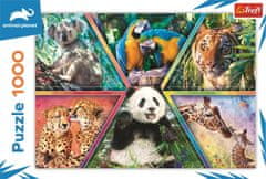 Trefl Puzzle Animal Planet: Kraljestvo živali 1000 kosov
