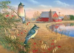 Cobble Hill Puzzle Cedar Waxwings 1000 kosov