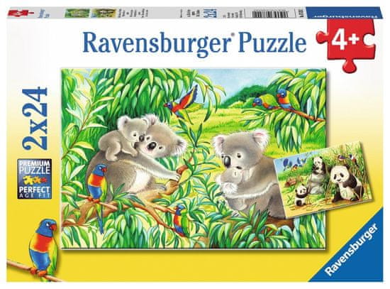 Ravensburger Puzzle Koale in pande 2x24 kosov