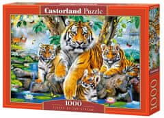 Castorland Puzzle Tigri ob reki 1000 kosov