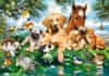 Puzzle Summer Friends 500 kosov