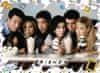 Ravensburger Puzzle TV serija Friends 500 kosov