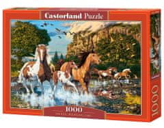 Castorland Puzzle Konjska čudežna dežela 1000 kosov