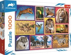 Trefl Puzzle Animal Planet: Divja narava 1000 kosov