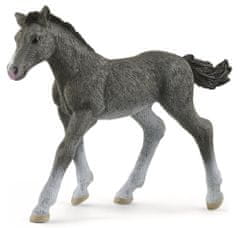 Schleich figura, žrebe, Trakehner, 10 x 2.3 x 7.2 cm