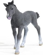 Schleich figura, žrebe, Trakehner, 10 x 2.3 x 7.2 cm