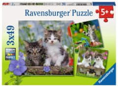 Ravensburger Puzzle Kittens 3x49 kosov